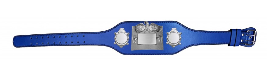 SMALL SILVER EAGLE CHAMPIONSHIP BELT - PLT299/S -4 COLOURS - BLACK, RED, BLUE, GREEN